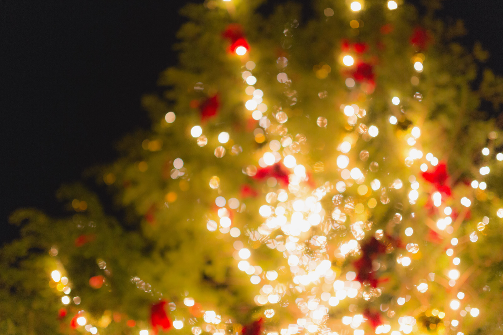 東京タワーイルミネーションクリスマス【2019】インスタ映の穴場や混雑状況！期間や時間を紹介
